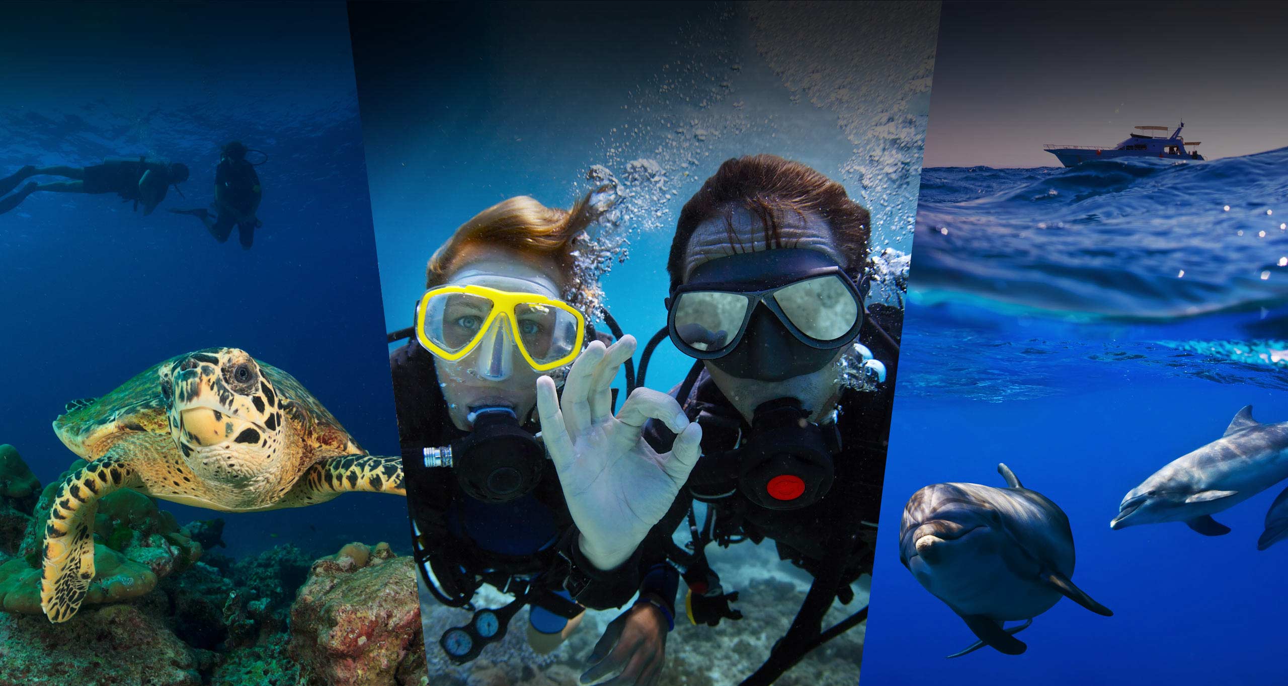Maui Diving and Snorkeling Scuba and Dive Equipment Shop